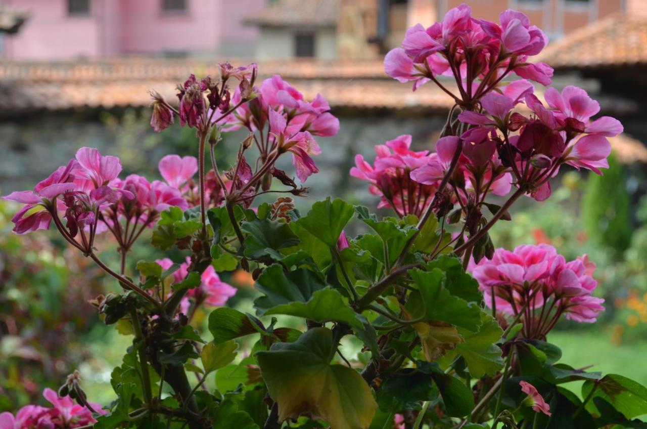 Guest House Zlatniyat Telets โคปริฟชทิทซา ภายนอก รูปภาพ